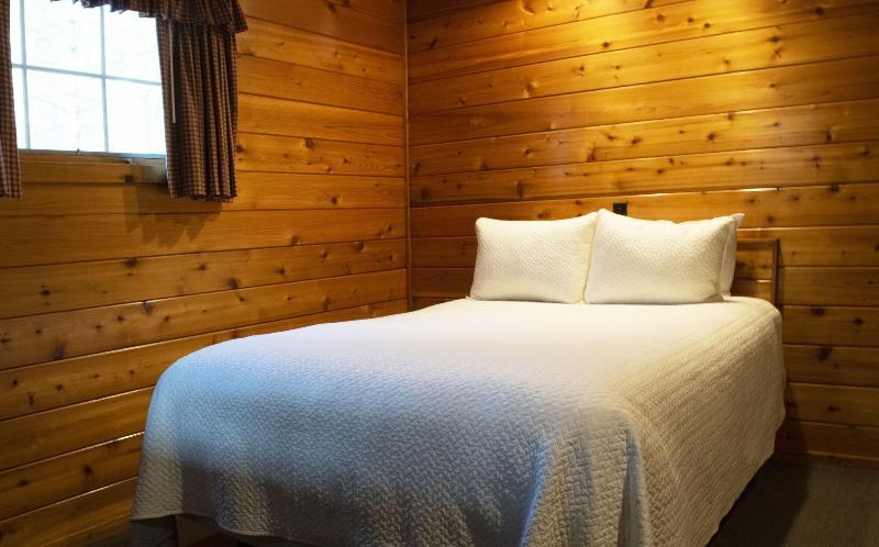 Mountain Springs Lake Resort image