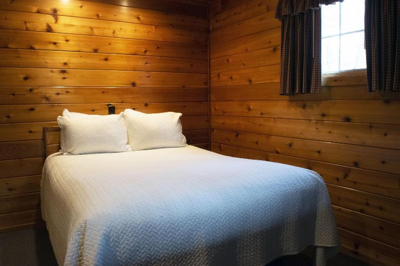 Mountain Springs Lake Resort image