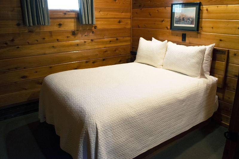 Mountain Springs Lake Resort image