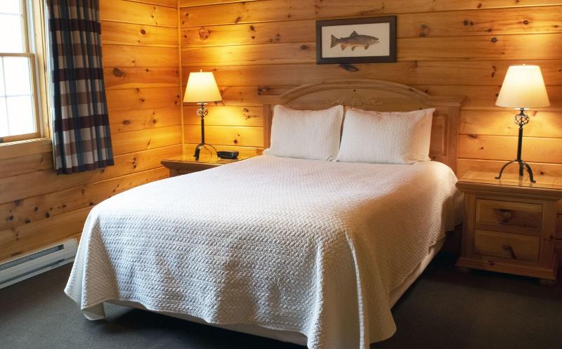 Mountain Springs Lake Resort image