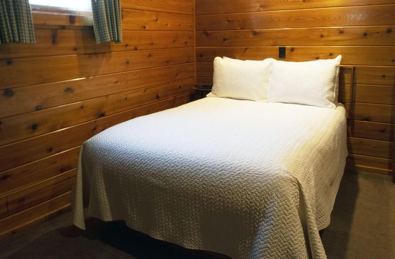 Mountain Springs Lake Resort image