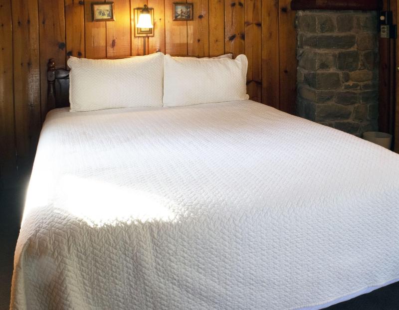 Mountain Springs Lake Resort image