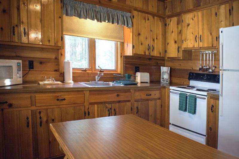 Mountain Springs Lake Resort image