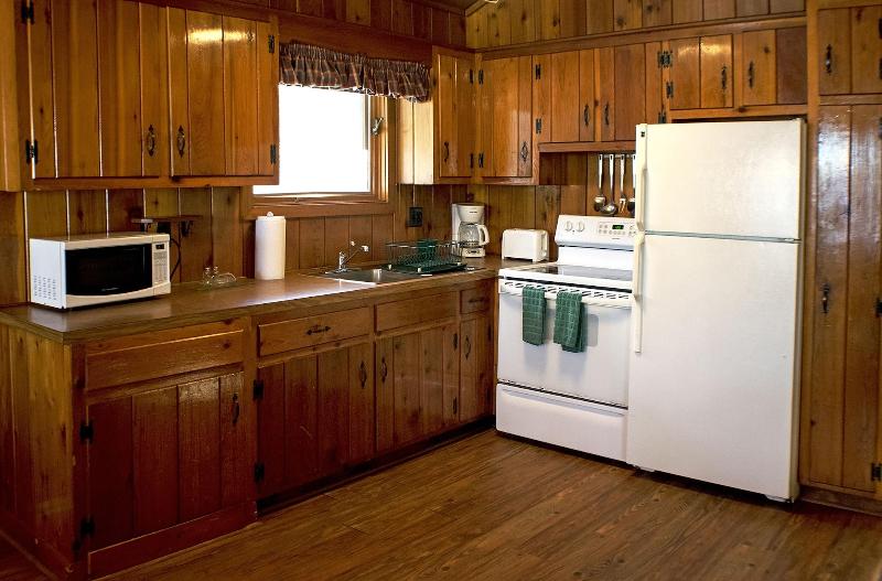 Mountain Springs Lake Resort image
