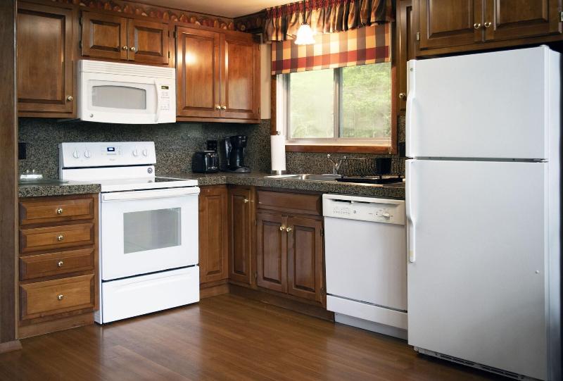 Mountain Springs Lake Resort image