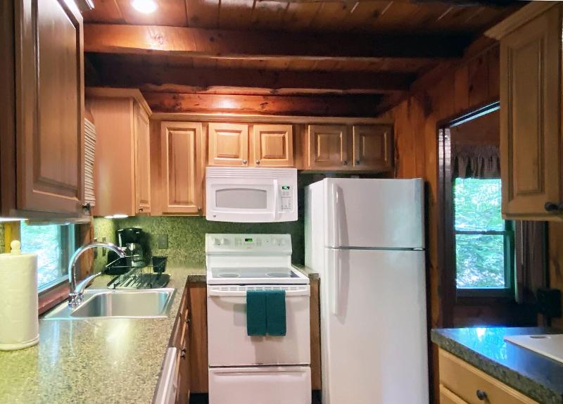 Mountain Springs Lake Resort image