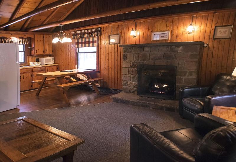 Mountain Springs Lake Resort image