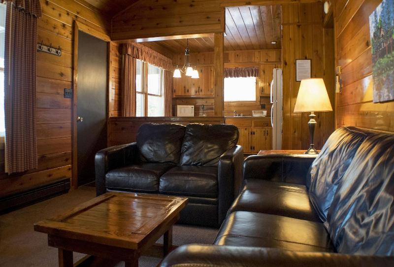 Mountain Springs Lake Resort image