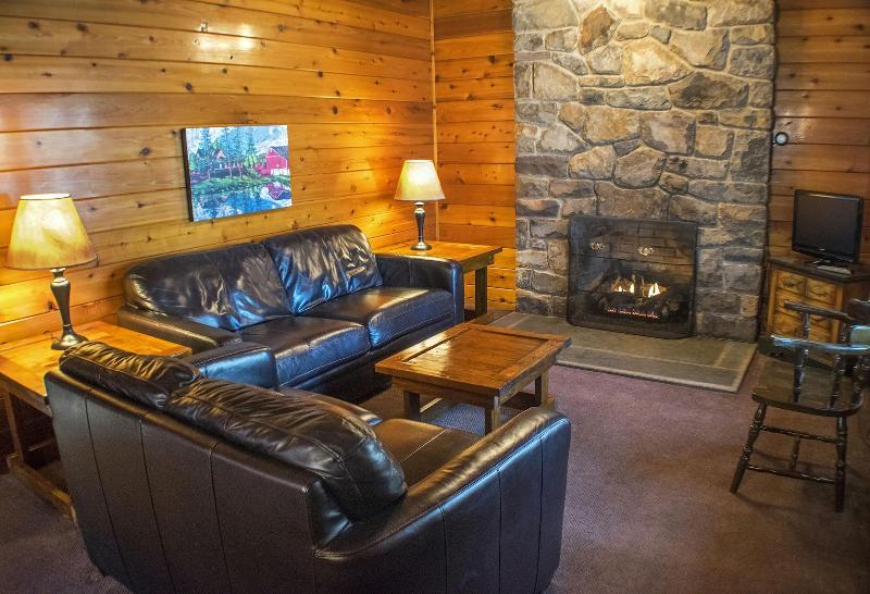 Mountain Springs Lake Resort image
