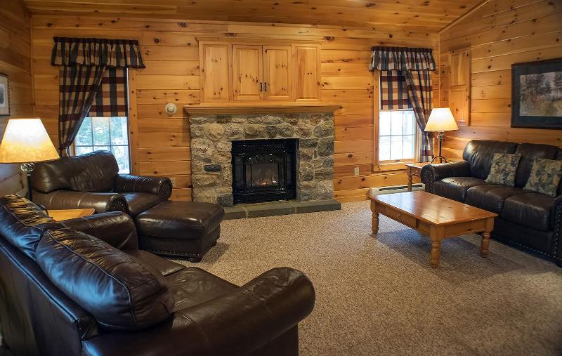 Mountain Springs Lake Resort image