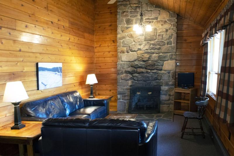 Mountain Springs Lake Resort image