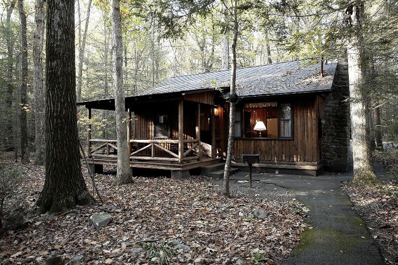 Mountain Springs Lake Resort image