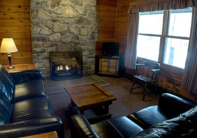 Mountain Springs Lake Resort image