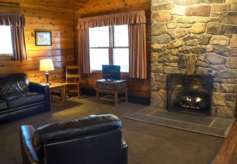 Mountain Springs Lake Resort image