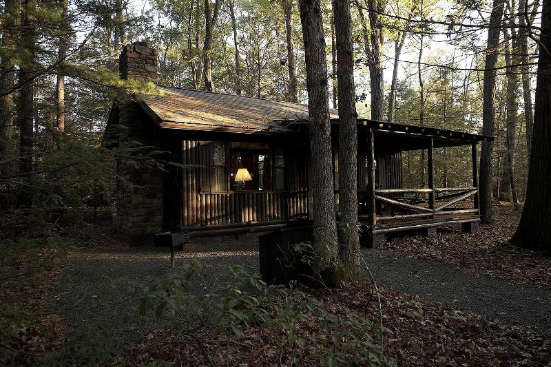 Mountain Springs Lake Resort image