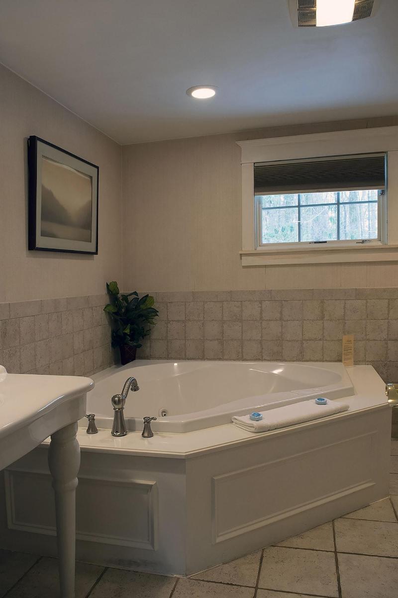 Mountain Springs Lake Resort image