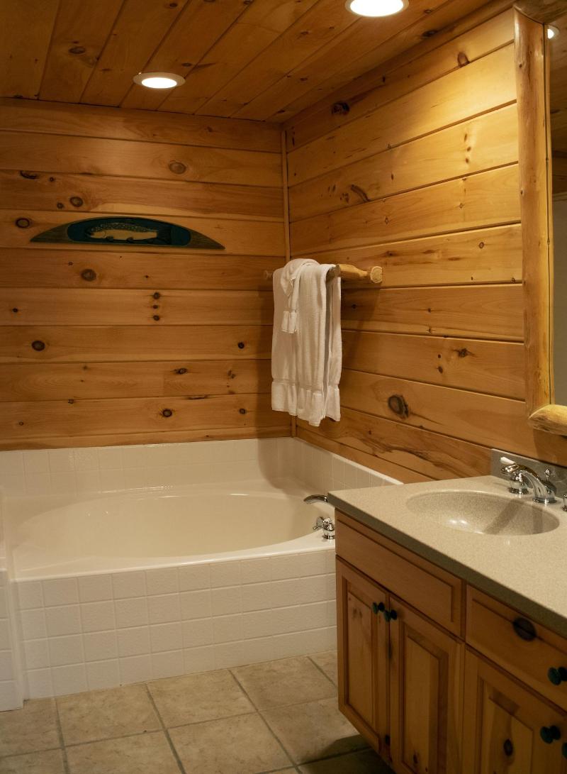 Mountain Springs Lake Resort image