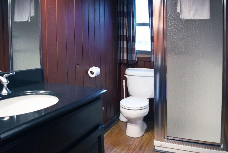 Mountain Springs Lake Resort image