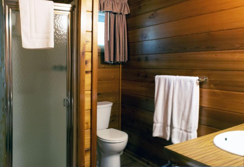 Mountain Springs Lake Resort image