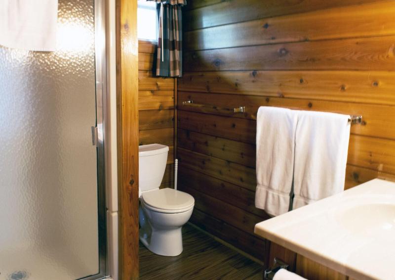 Mountain Springs Lake Resort image
