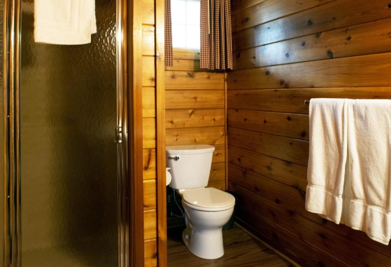 Mountain Springs Lake Resort image
