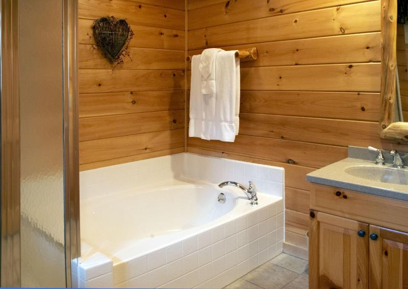 Mountain Springs Lake Resort image