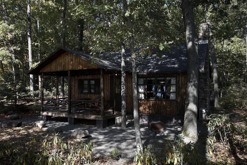 Mountain Springs Lake Resort image