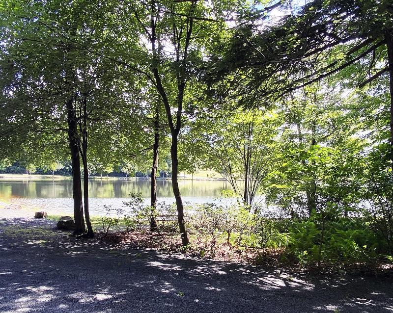 Mountain Springs Lake Resort image