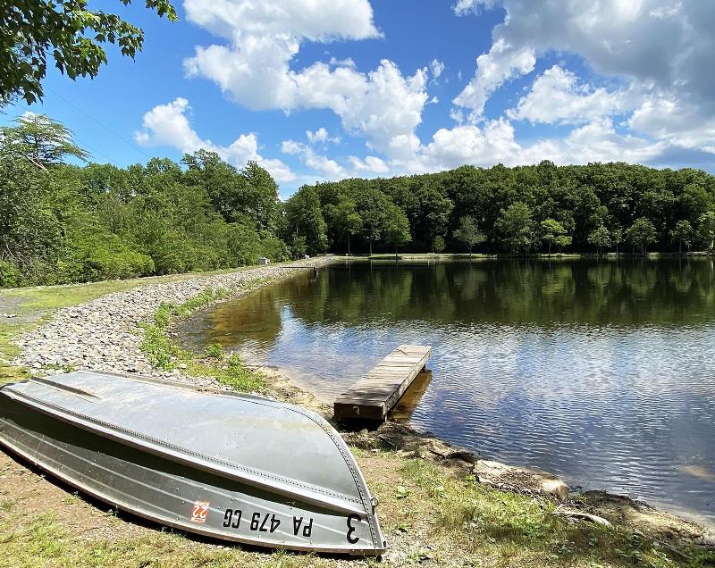 Mountain Springs Lake Resort image