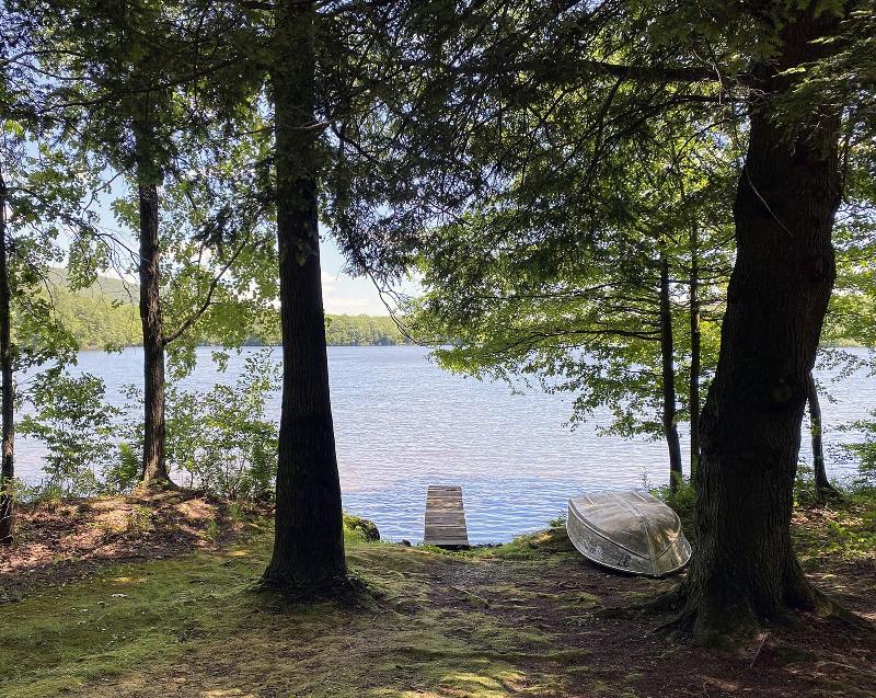 Mountain Springs Lake Resort image