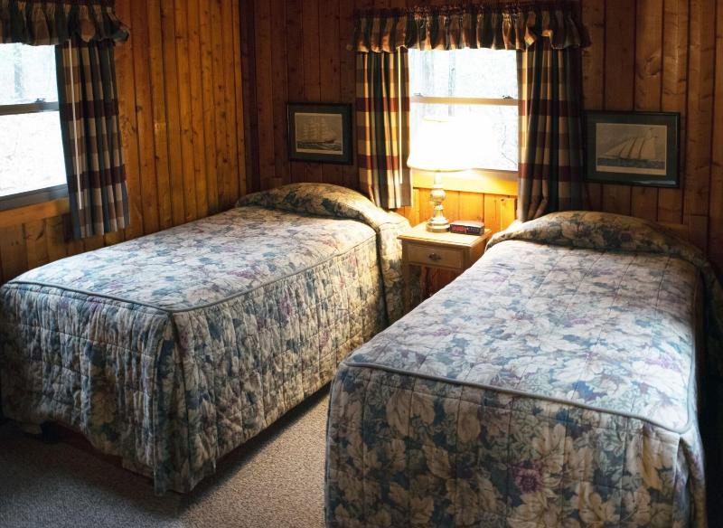 Mountain Springs Lake Resort image