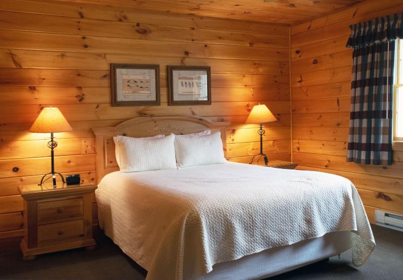 Mountain Springs Lake Resort image