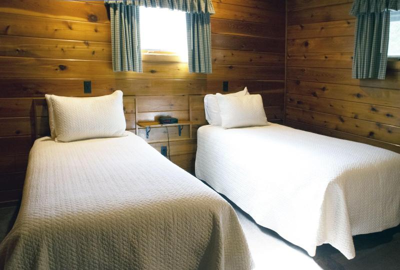 Mountain Springs Lake Resort image