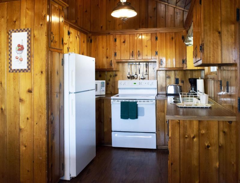 Mountain Springs Lake Resort image