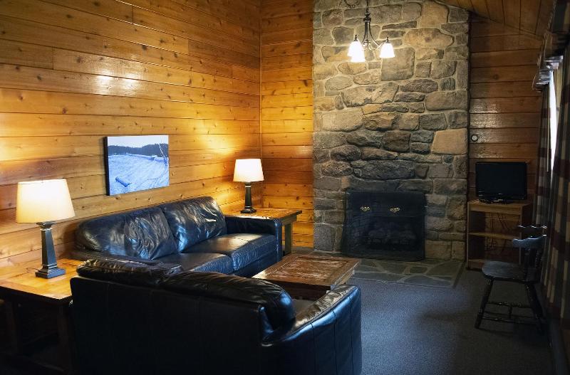 Mountain Springs Lake Resort image