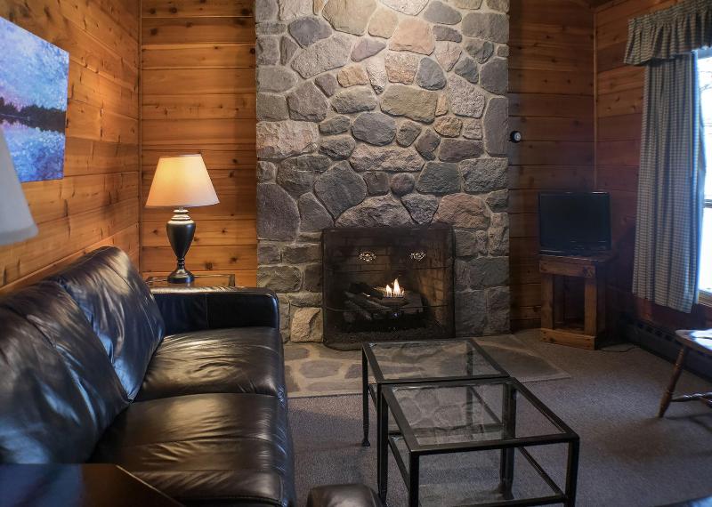 Mountain Springs Lake Resort image