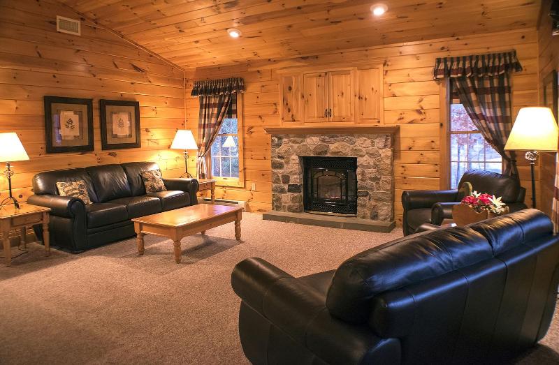 Mountain Springs Lake Resort image