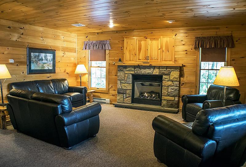 Mountain Springs Lake Resort image