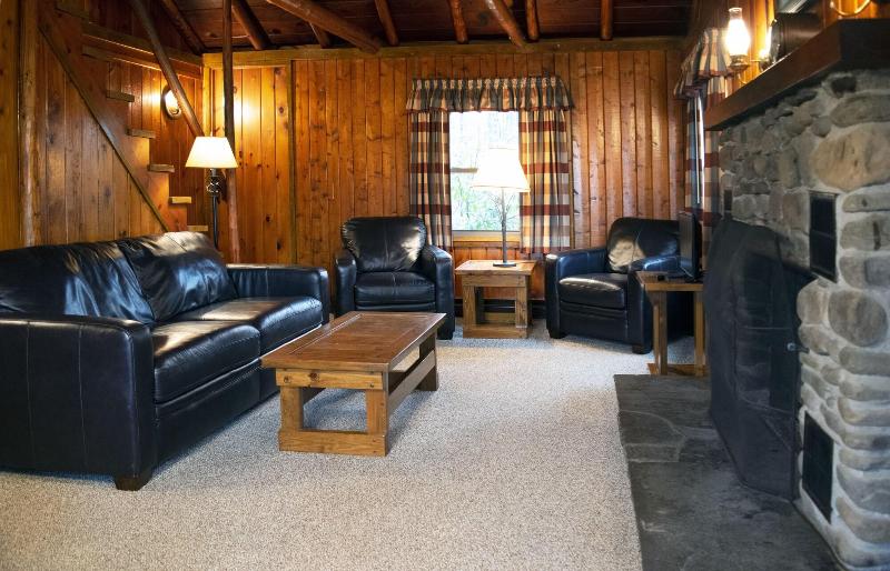 Mountain Springs Lake Resort image