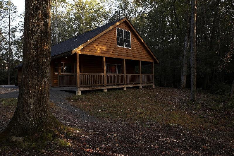 Mountain Springs Lake Resort image