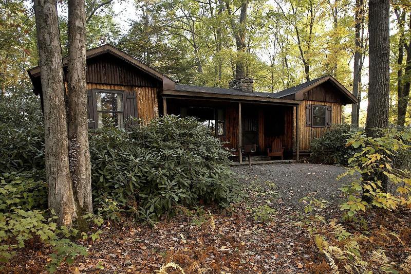 Mountain Springs Lake Resort image
