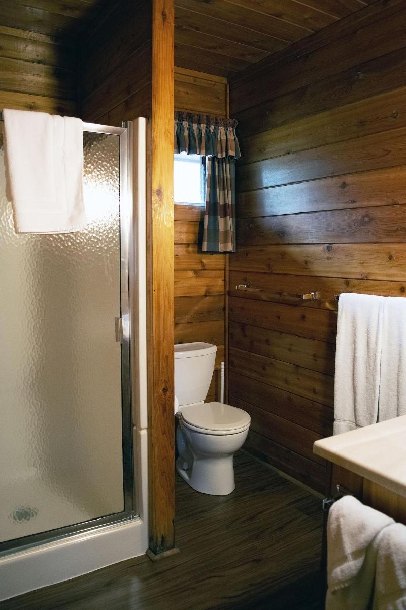 Mountain Springs Lake Resort image