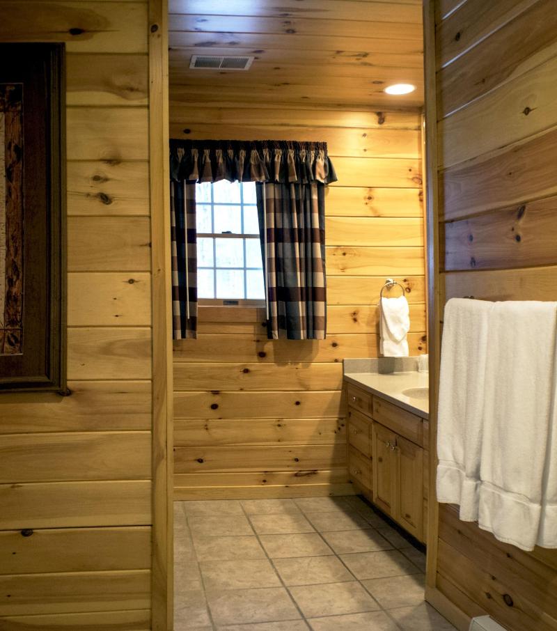 Mountain Springs Lake Resort image