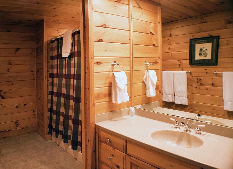 Mountain Springs Lake Resort image