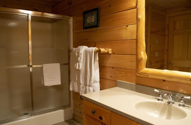 Mountain Springs Lake Resort image