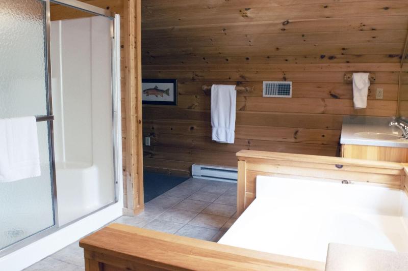 Mountain Springs Lake Resort image
