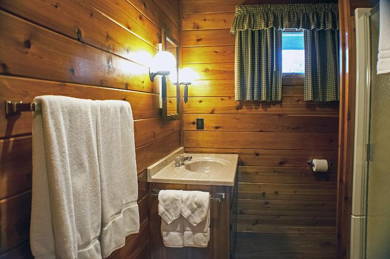 Mountain Springs Lake Resort image