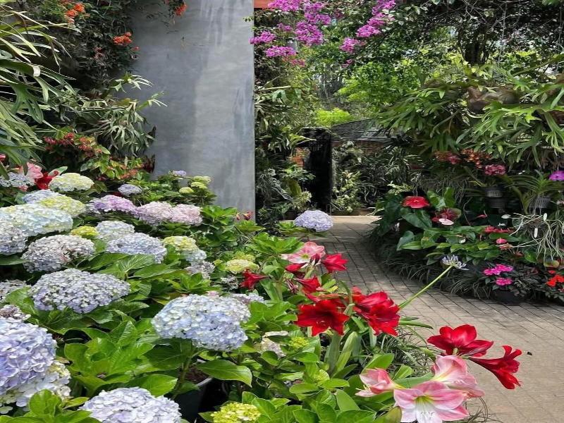 Ella Flower Garden Resort