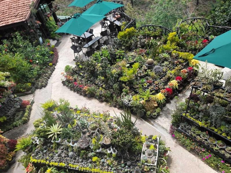 Ella Flower Garden Resort