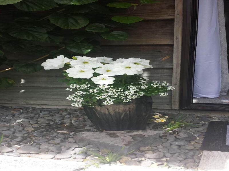 Opua Boutique Seaview Motel image